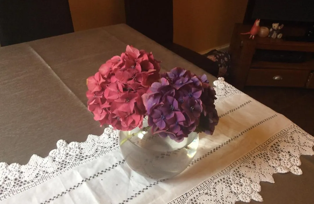 Rosebank Guest House-1